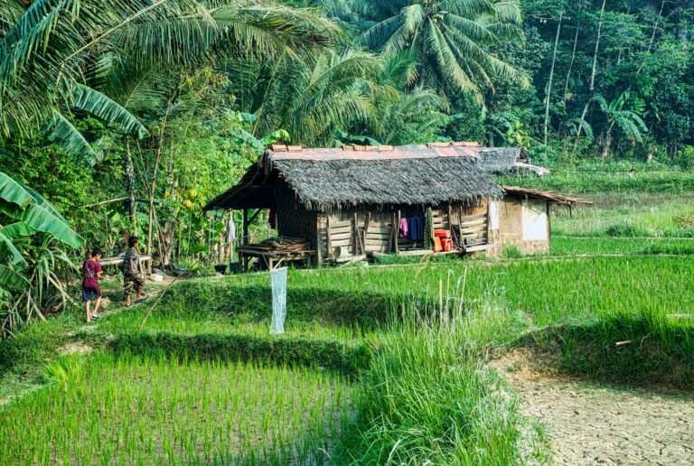 A rustic nipa hut surrounded by rice fields and tropical greenery in West Java, Indonesia.
